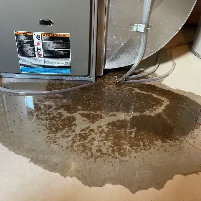 Appliance Leak Cleanup in Flatwoods, KY